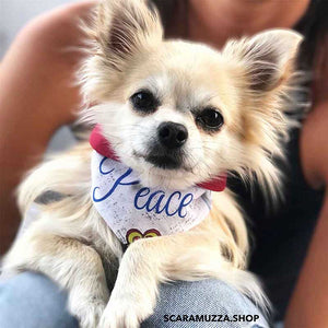 Chihuahua Dog Bandana Collection 60's Scaramuzza Eco Shop