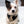 Load image into Gallery viewer, Dog Bandana Fashion Animalier
