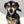 Load image into Gallery viewer, Dog Bandana Fashion Animalier
