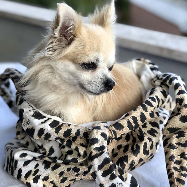 Small Dog Purse Animalier/Vanilla Satin