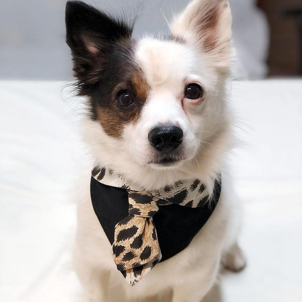 Dog Bandana Fashion Animalier