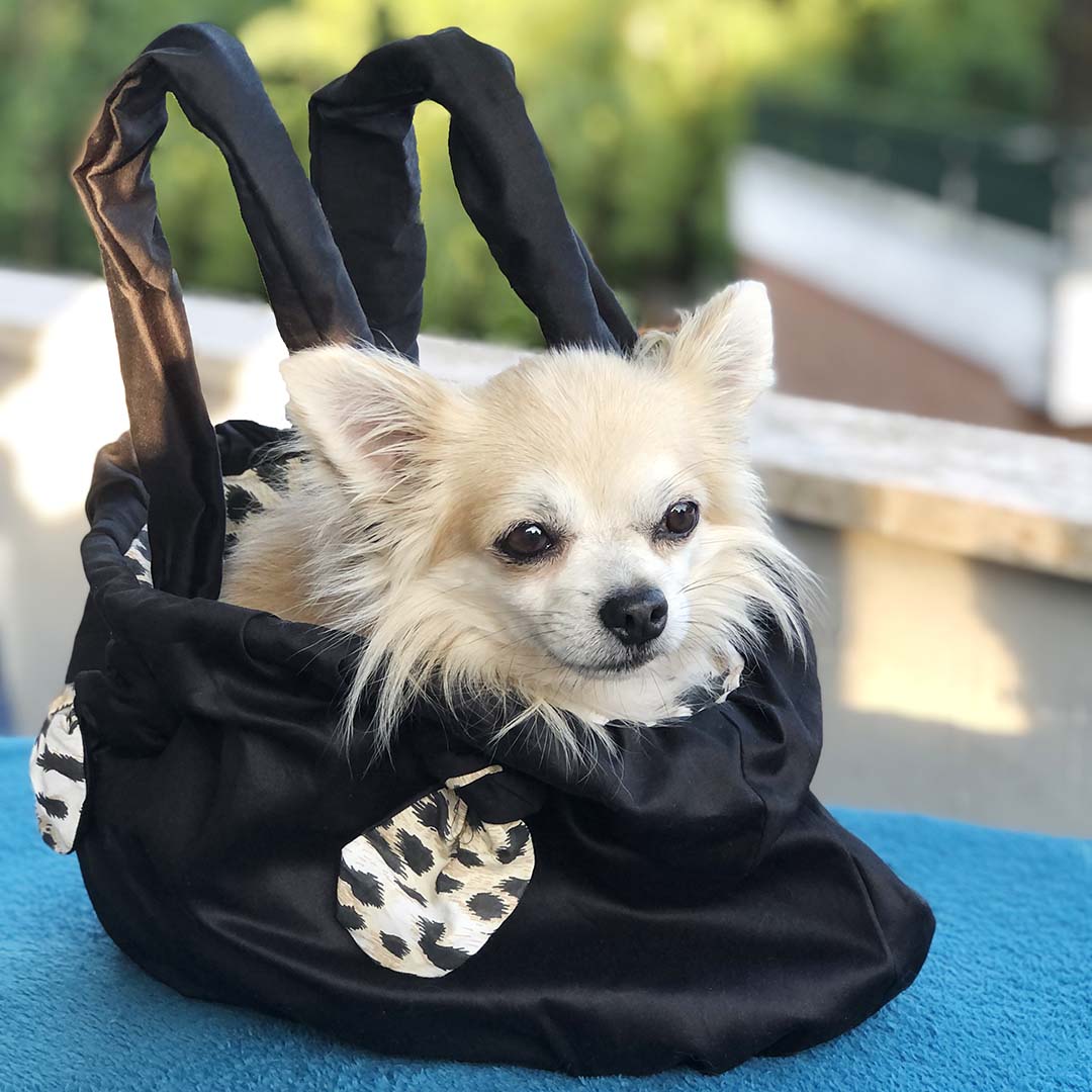 Signature Pet Dog Carrier Duffel Bag - Open Story™ : Target